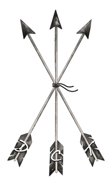 DCT - DH HIRED HAND x M2 RISING STAR (B)